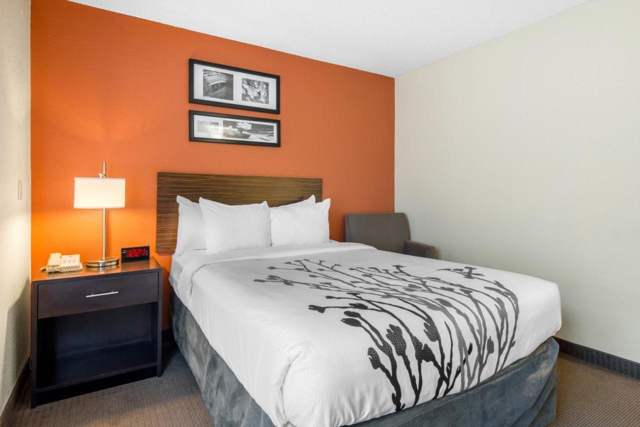 Sleep Inn Sarasota North מראה חיצוני תמונה