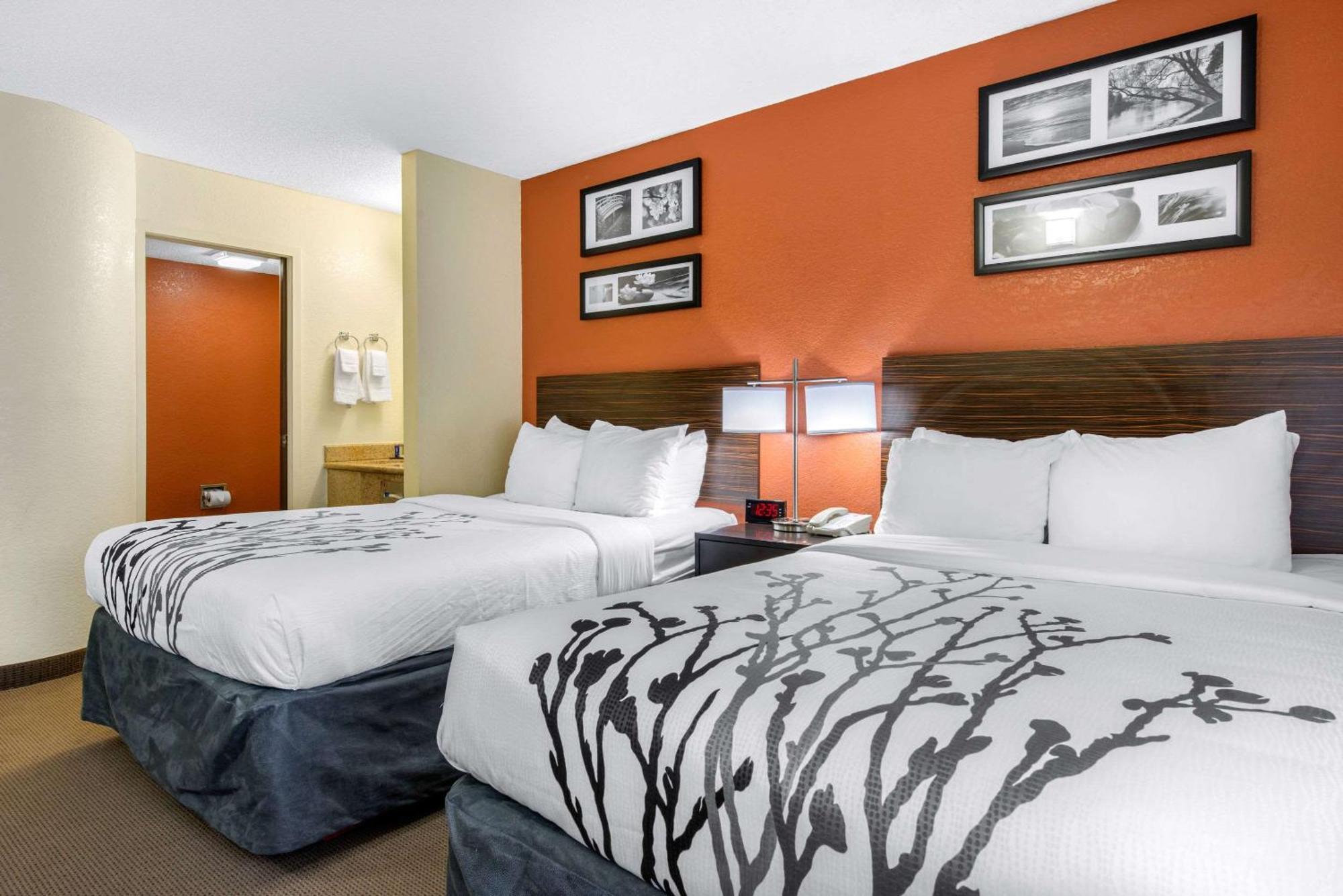 Sleep Inn Sarasota North מראה חיצוני תמונה