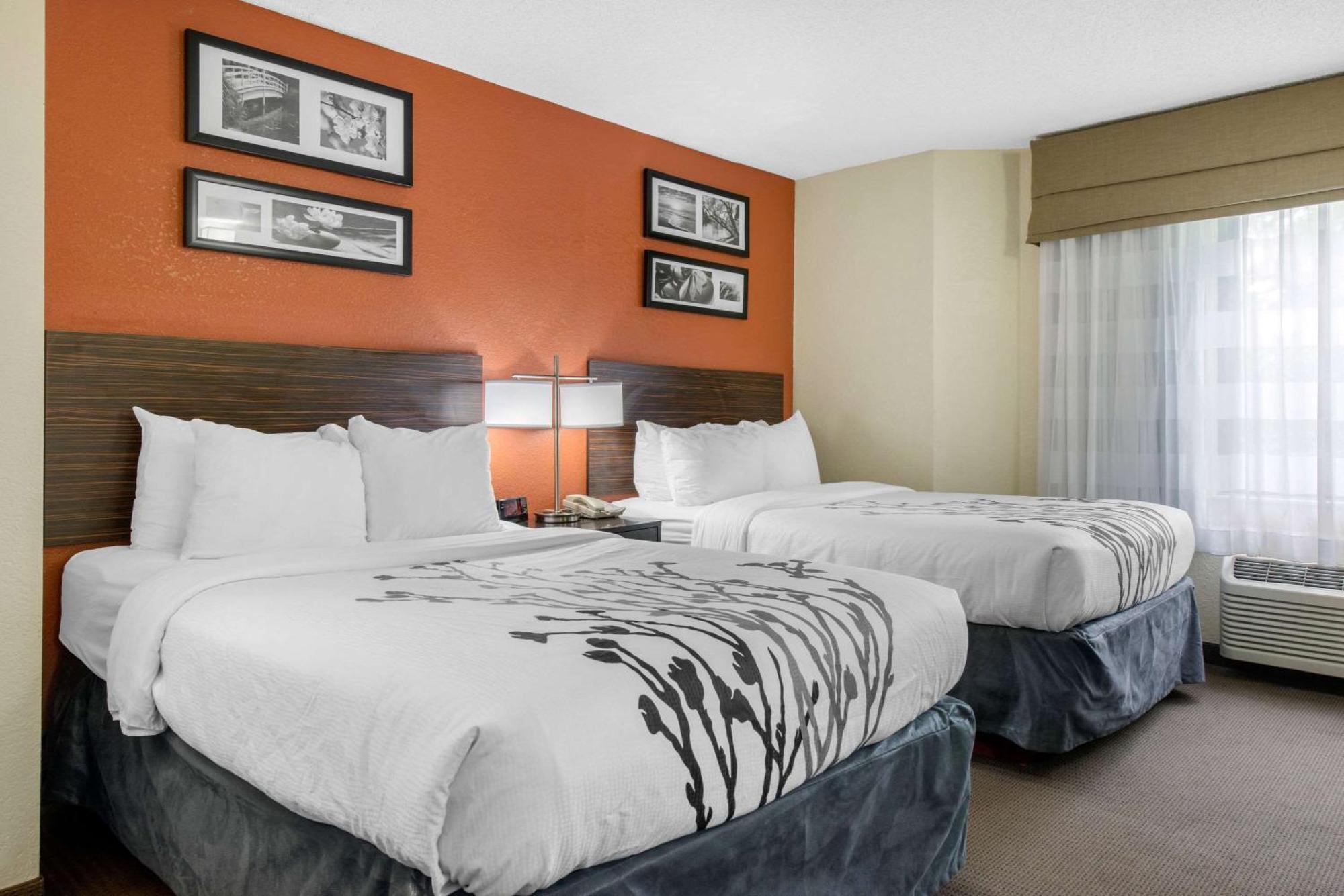 Sleep Inn Sarasota North מראה חיצוני תמונה