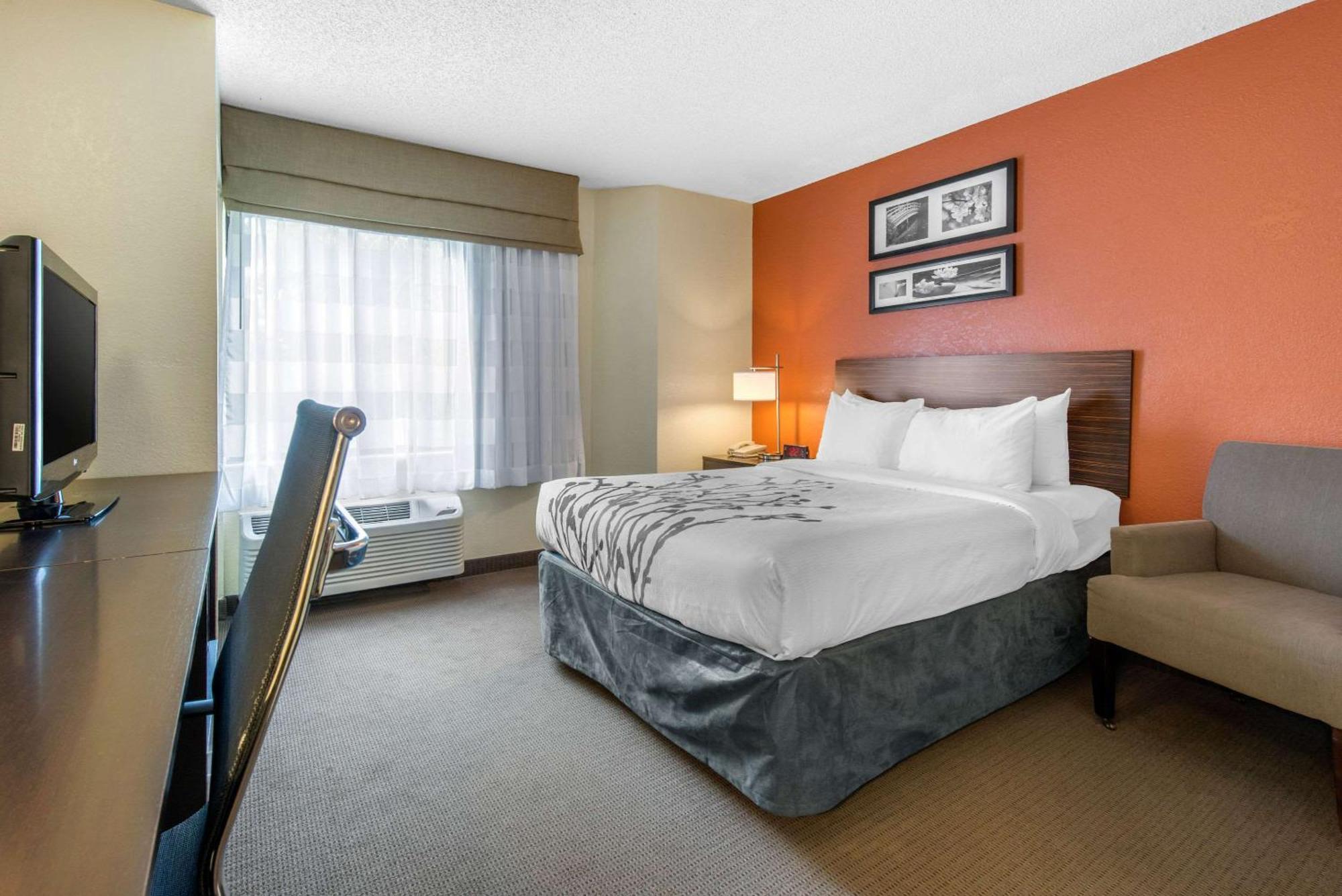 Sleep Inn Sarasota North מראה חיצוני תמונה