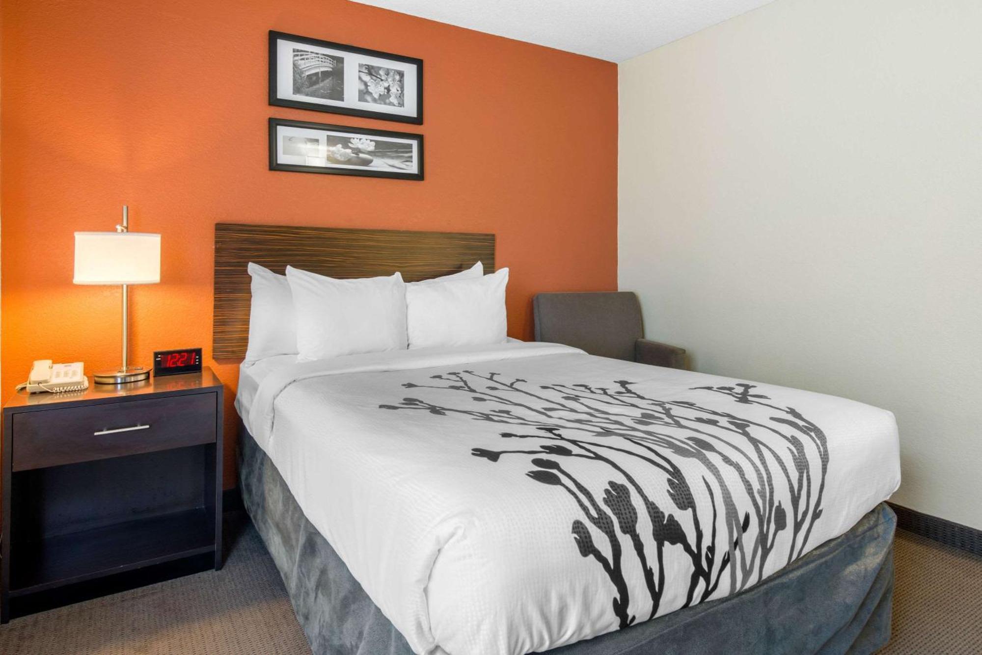 Sleep Inn Sarasota North מראה חיצוני תמונה