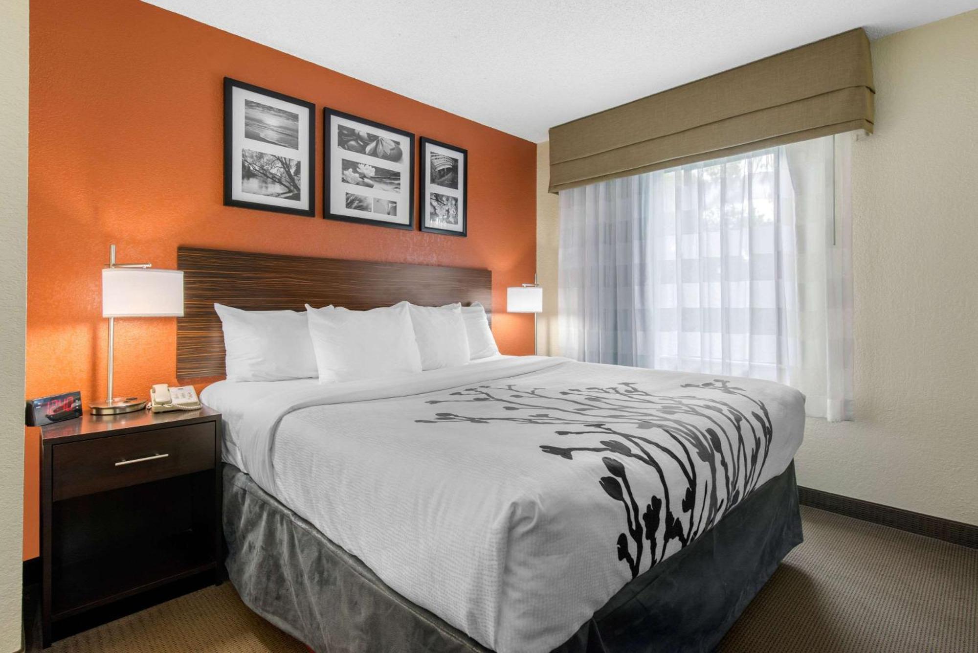 Sleep Inn Sarasota North מראה חיצוני תמונה