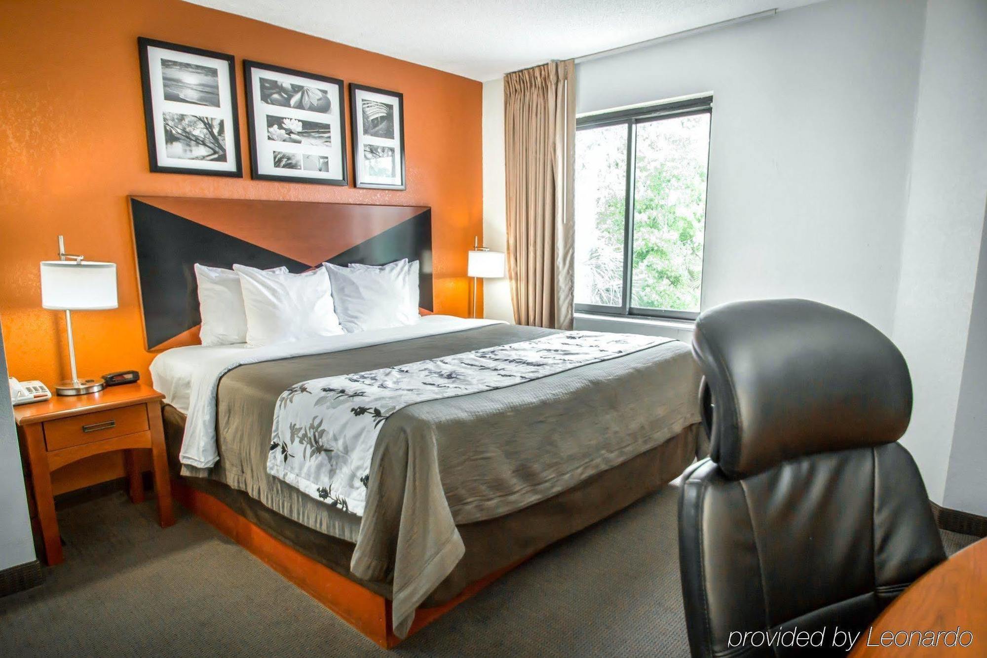 Sleep Inn Sarasota North מראה חיצוני תמונה